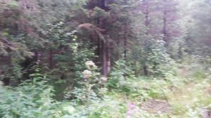 Урал, природа и просторы Пермского края /Russia, Ural, nature and open spaces of the Perm region/