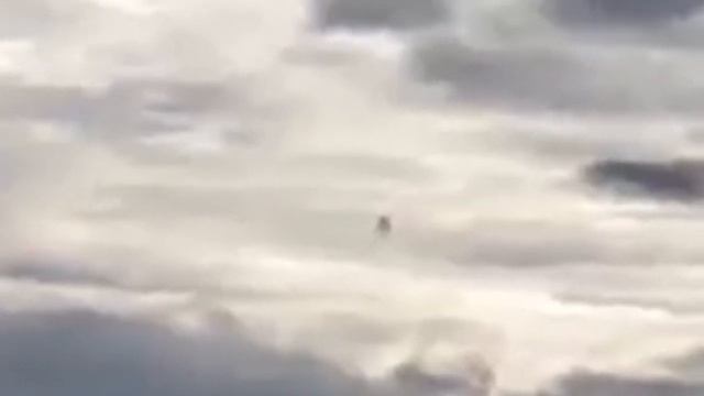 На видео камеру засняли реального дракона! смотреть онлайн
