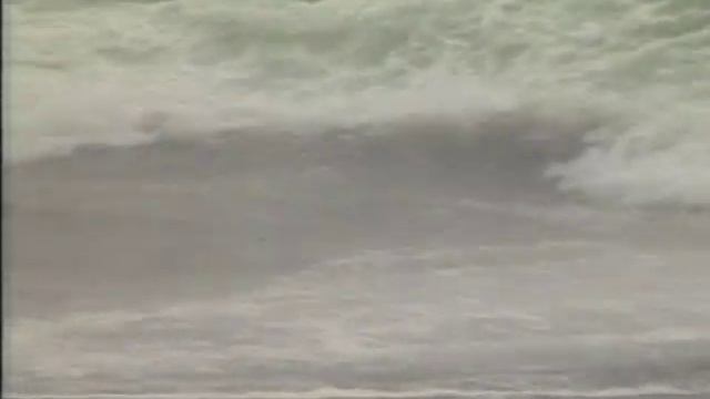California Current смотреть онлайн