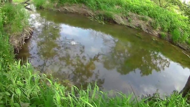 Голавль. L-minnow 33 Калининградская область, рыбалка на микроречке. смотреть онлайн