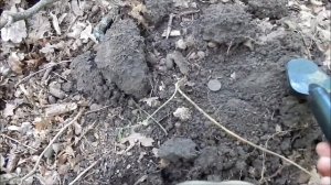 Коп с Фишер Ф75 на скошеных полях