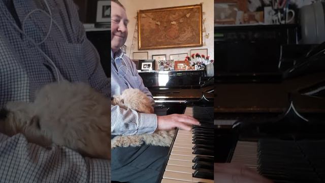 ALAN BRIGGS of Blackburn, Lancashire #deafmusician Video 5 смотреть онлайн