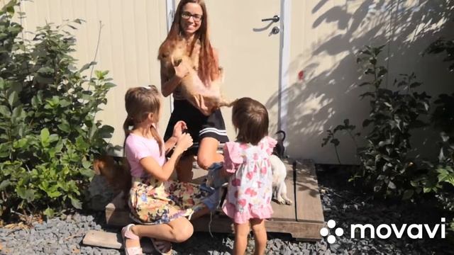 Снимаем с Жужи попону после стерилизации смотреть онлайн