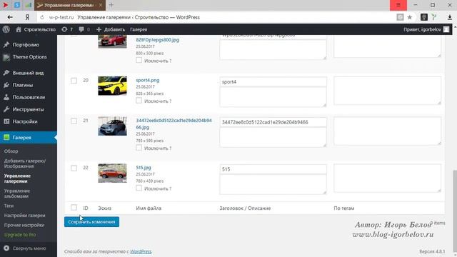 Лучшая галерея на WordPress (NextGEN Gallery) смотреть онлайн