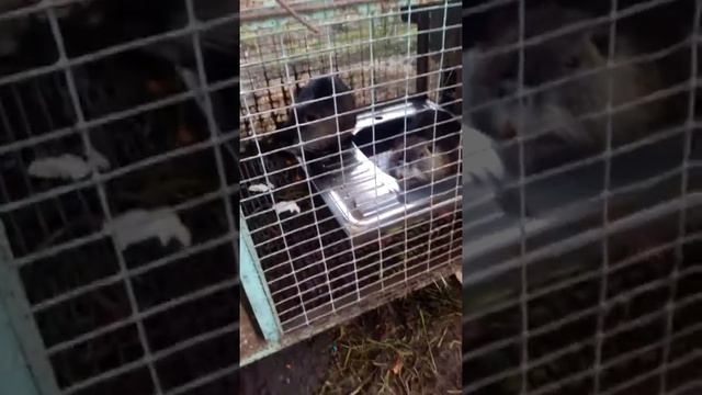 как я убегаю от уроков смотреть онлайн