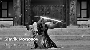 Slavik Pogosov - Лететь как птица