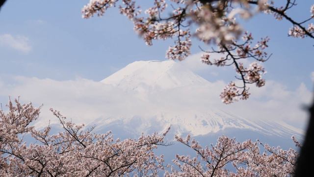 Relaxing Ambient Music, Stop Negative Thoughts | 3 Hours Headspace Treatment | Peaceful Retreat смотреть онлайн