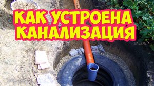 Как устроена канализация