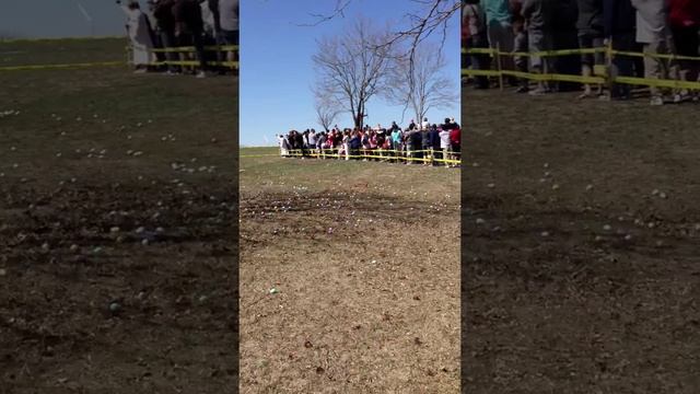 Easter egg drop part 7 смотреть онлайн