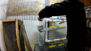 Простейшая поилка для перепелов и птицы.