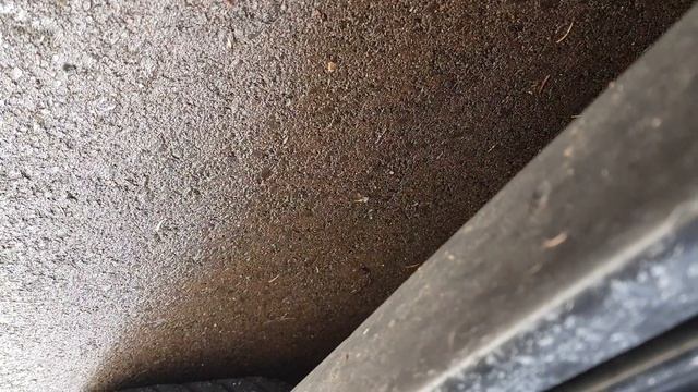 Świst bravo смотреть онлайн