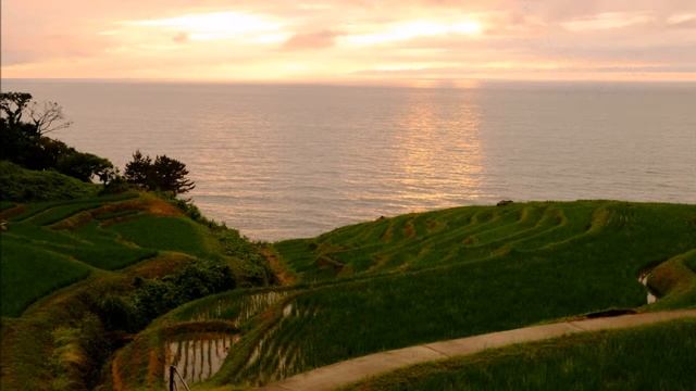 Fujifilm X M1 Body_ Fujifilm X M1