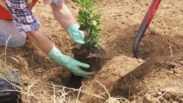 Genius Loci- The Sprirt of a Place смотреть онлайн