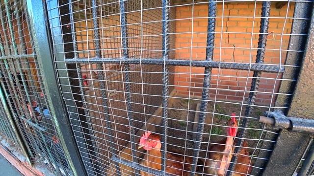 Столько всего хочется сделать, что руки опускаются :):):) смотреть онлайн