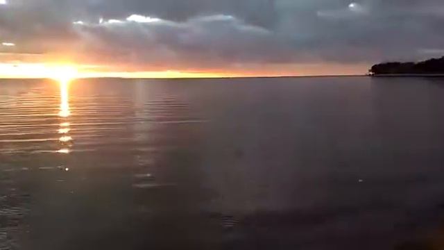 Прекрасный мир живой природы смотреть онлайн