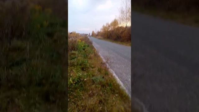 Что может Питбайк смотреть онлайн