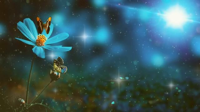 ? БОГ ГОВОРИТ: МНЕ НУЖНО ПОГОВОРИТЬ С ТОБОЙ ПРЯМО СЕЙЧАС!✨ Разговор с Богом сегодня... смотреть онлайн