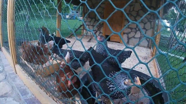 Парк отель Хвалынский с внучками в день защиты детей смотреть онлайн