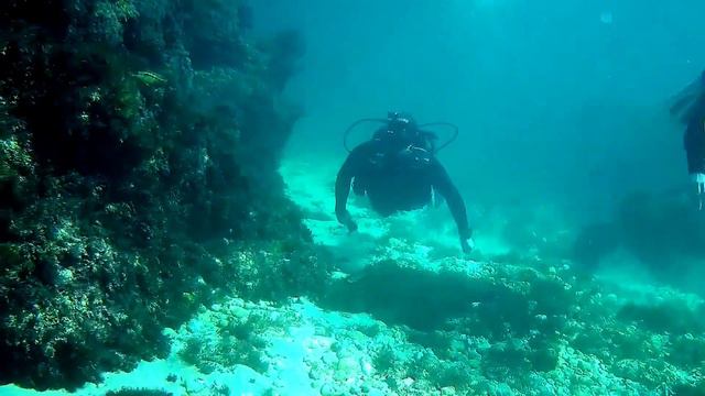 Дайвинг в Крыму Голубая Бухта Crimea diving 2021 смотреть онлайн