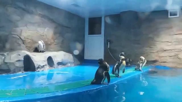 Бэйдайхэ 2017 北戴河     Beidaihe.  Часть 2