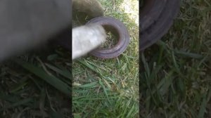 замена магнитного кольца ABS задней ступицы меган 2