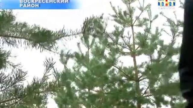 День лесника [ВИДЕО] смотреть онлайн