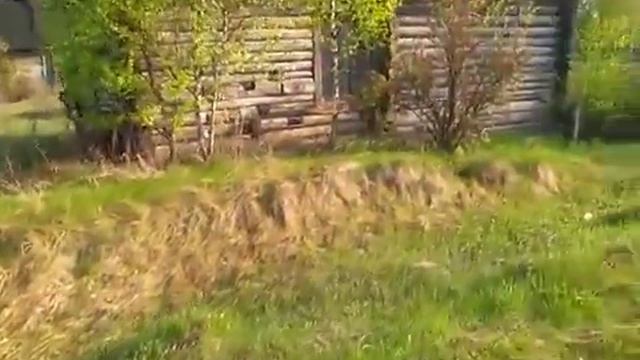 Сумерки: Разрушенная деревня смотреть онлайн