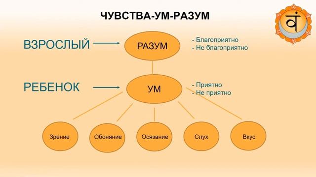 Ум, разум и чувства. Как они работают. смотреть онлайн