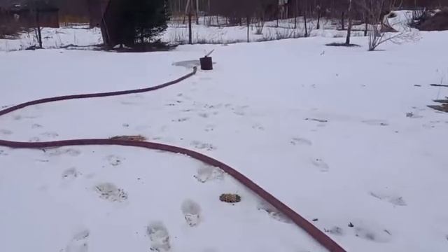 Затопило колодец весной - вода в колодце на уровне земли. Ремонтируем колодец - производим чистку. смотреть онлайн