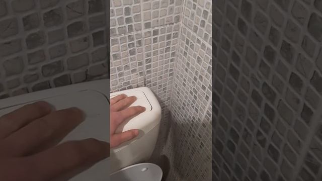 Учимся смывать воду в унитазе смотреть онлайн