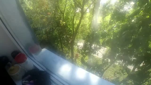 сегодня приезжали спиливать ветки деревьев/опасная работа/заболел немного смотреть онлайн