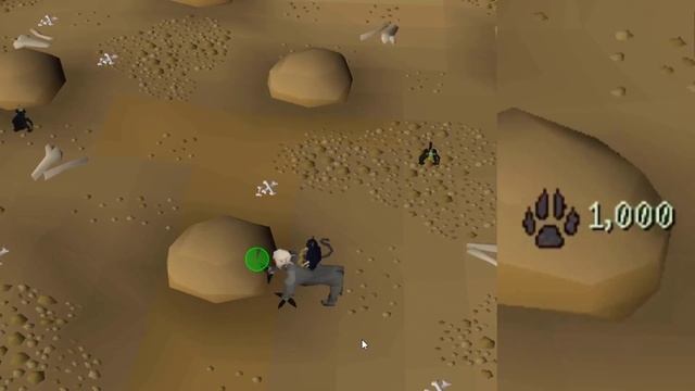 [OSRS] Maniacal Monkey Guide, AFK Hunter Training смотреть онлайн