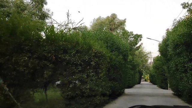 محل زندگی #استاد ها رو توی #اهواز پیدا کردم 😈 смотреть онлайн