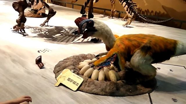 Shanghai Natural History Museum 2018 смотреть онлайн