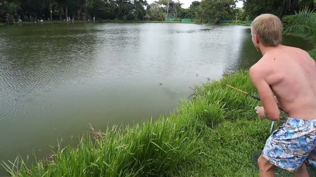 Вываживание сиамского карпа. смотреть онлайн