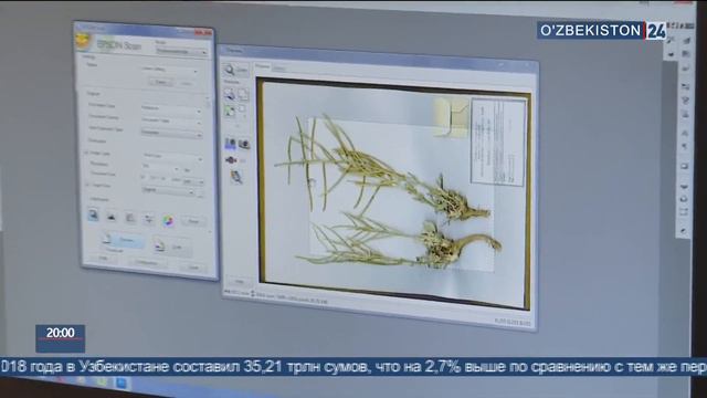 О совершенствовании ботанического сада смотреть онлайн