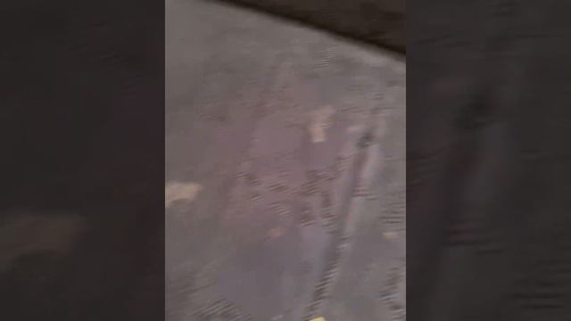 Диван смотреть онлайн
