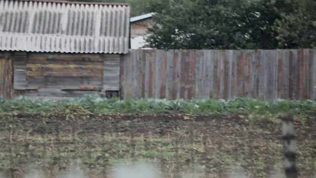 копание картошки в Чувашии смотреть онлайн