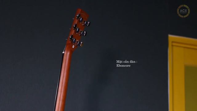 Highlight Đàn Guitar Acoustic Tanglewood TWR2 DCE смотреть онлайн