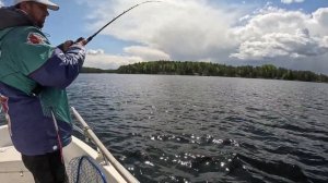 Ловля джерками на глубинах или раздача крупной щуки. Strike Pro Buster Jerk Sinking (Тонущий)