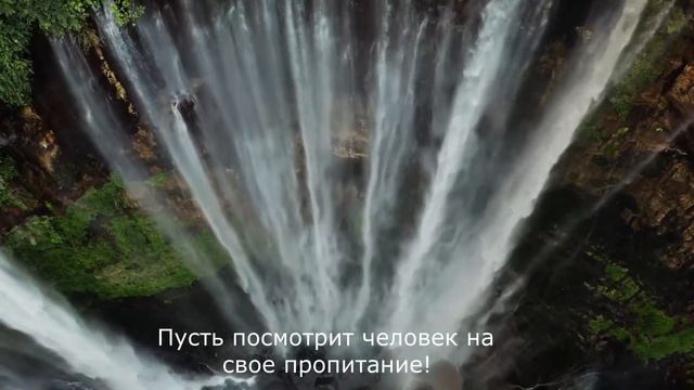 Абдулла Хумейд - Сура 80 Абаса смотреть онлайн