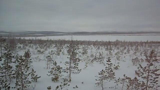 Архив 2010 Первое видео смотреть онлайн