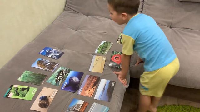 Факты самые-самые. Ребёнку 4 года смотреть онлайн