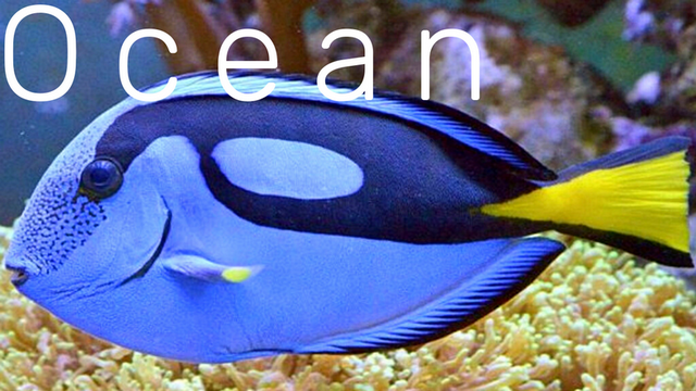 4.ОКЕАН - РЕЛАКС - МУЗЫКА ДЛЯ НАСТРОЕНИЯ! МЕДИТАЦИЯ и БОЖЕСТВЕННАЯ МУЗЫКА! смотреть онлайн