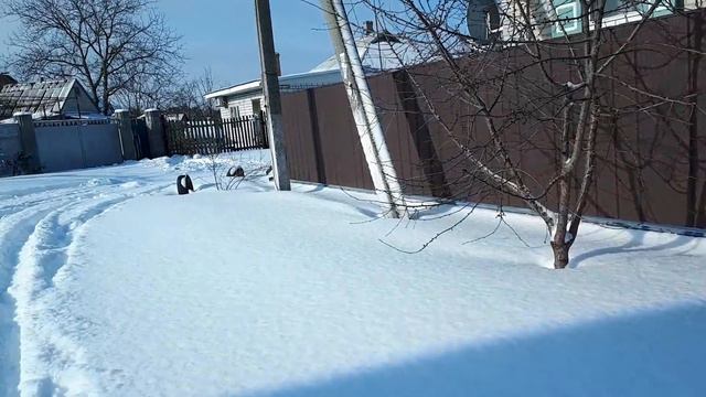 СНЕЖНАЯ ЗАРЯДКА смотреть онлайн