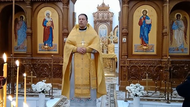 Воскресная проповедь 1 ноября 2020. О плодоносном семени. смотреть онлайн