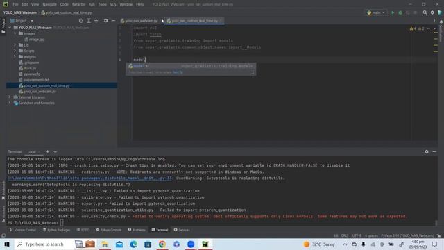 Real-Time Custom Object Detection with YOLO-NAS and Webcam: Step by Step Tutorial смотреть онлайн