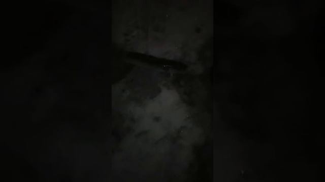 рыбалка на нижнекамской ГЭС ловля налима) смотреть онлайн