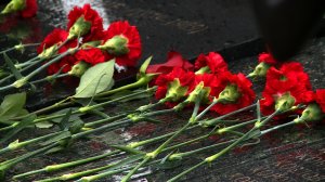 День ветерана боевых действий