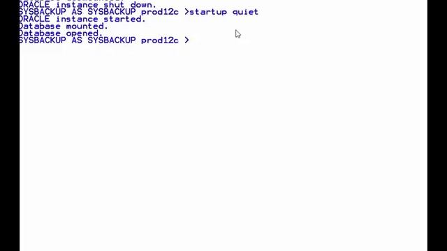 Oracle RMAN Backup and Recovery Webinar for Oracle 11g r2 and Oracle 12c r1 смотреть онлайн